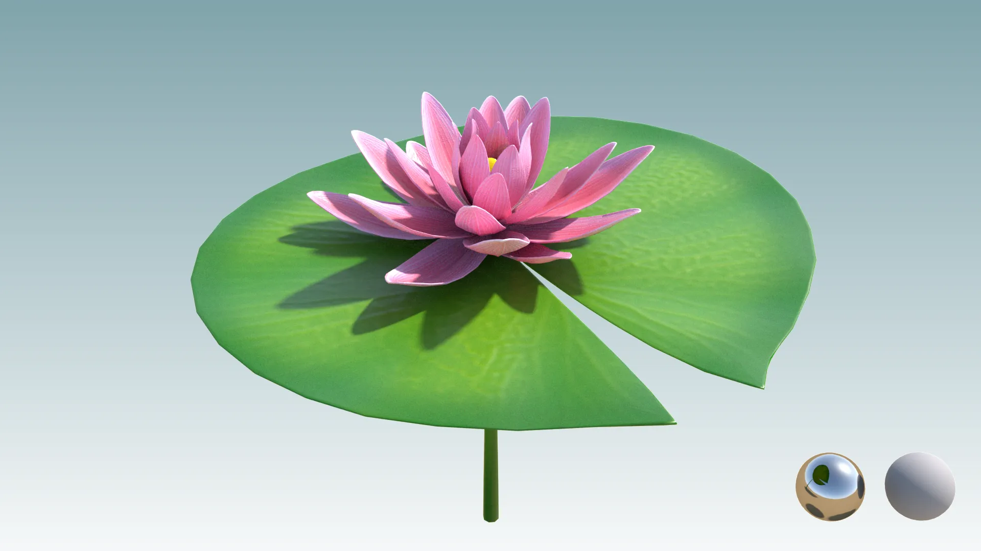 NSNS Render