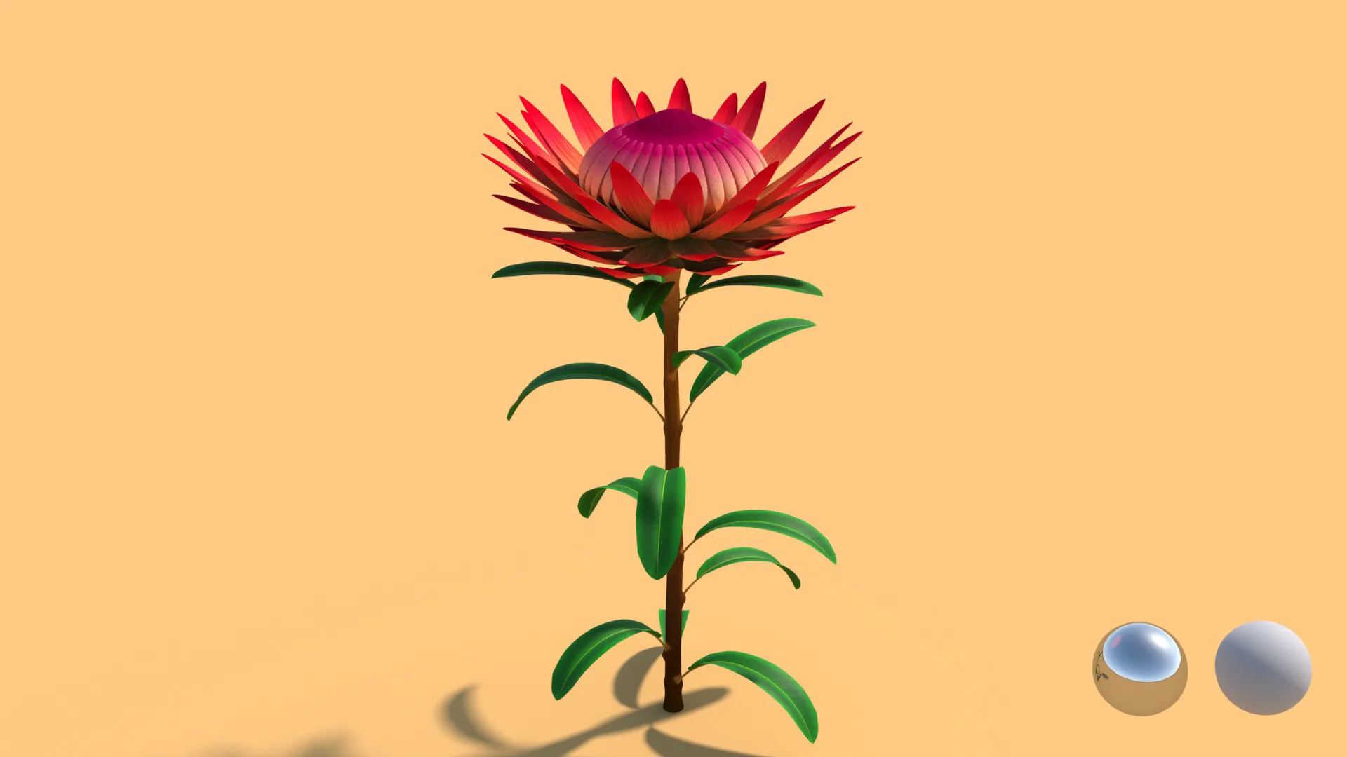 NSNS Render