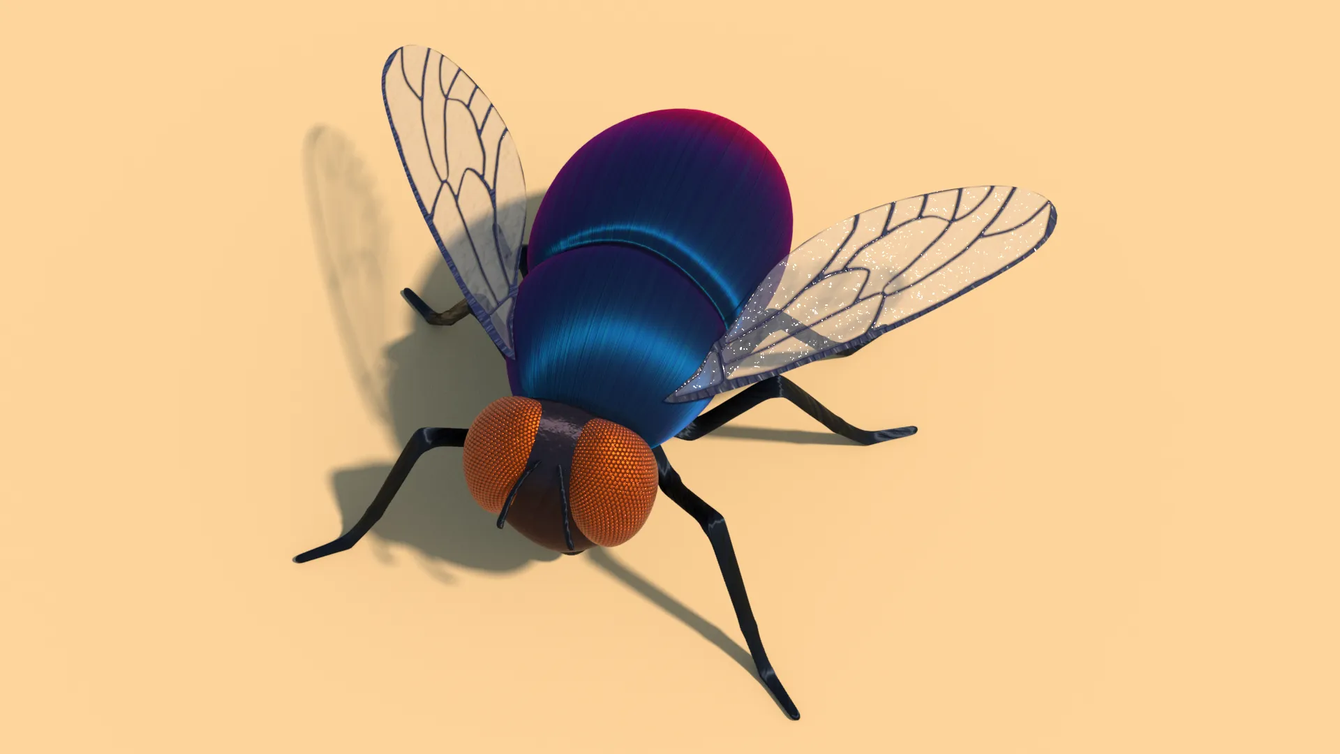 NSNS Render